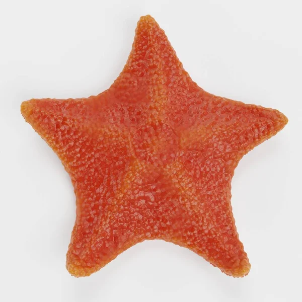 Realistic Render Bat Starfish — Stock Photo, Image