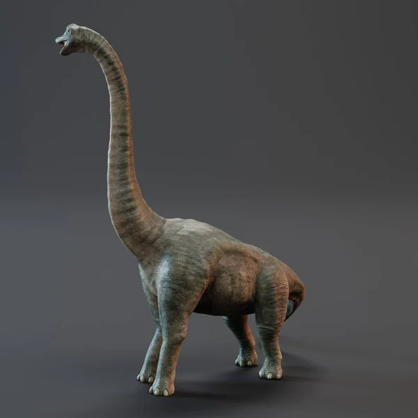 Realistische Render Von Brachiosaurus Dinosaurier — Stockfoto