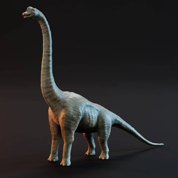 Realistyczne Render Brachiosaurus Dinozaur — Zdjęcie stockowe