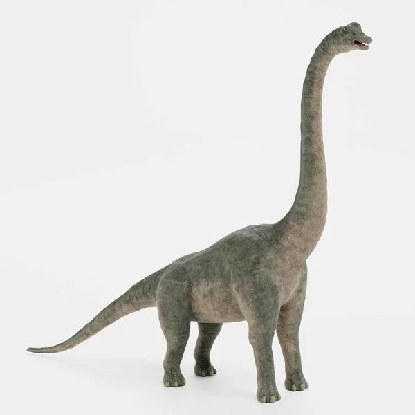 Render Realistico Del Dinosauro Brachiosauro — Foto Stock