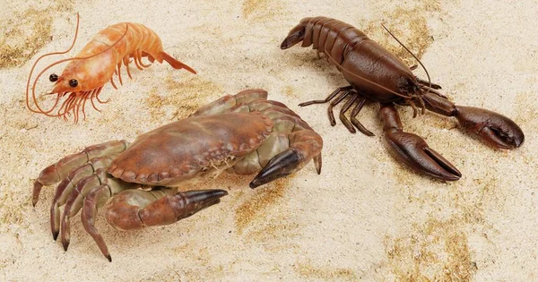 Realista Render Crustacean Comestível — Fotografia de Stock