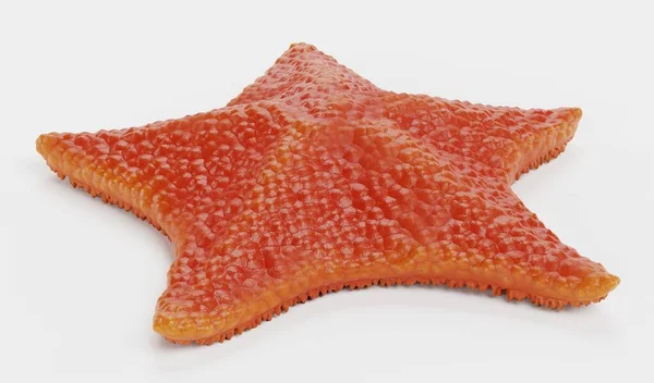 Realista Render Bat Starfish —  Fotos de Stock