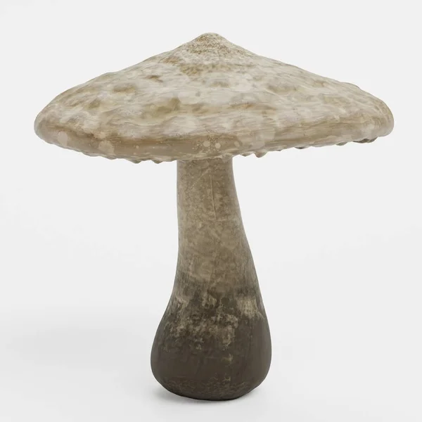 现实的蘑菇3D渲染 — 图库照片