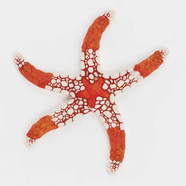 Ρεαλιστική Render Necklace Starfish — Φωτογραφία Αρχείου