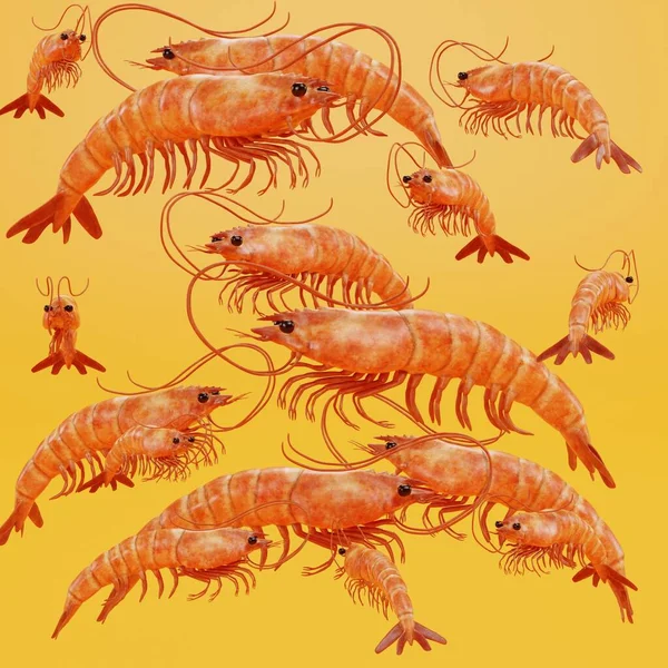 Réaliste Render Shrimps — Photo