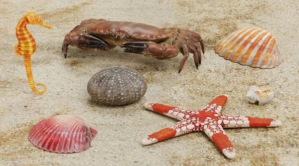 Realistic 3D Render of Sea Animals