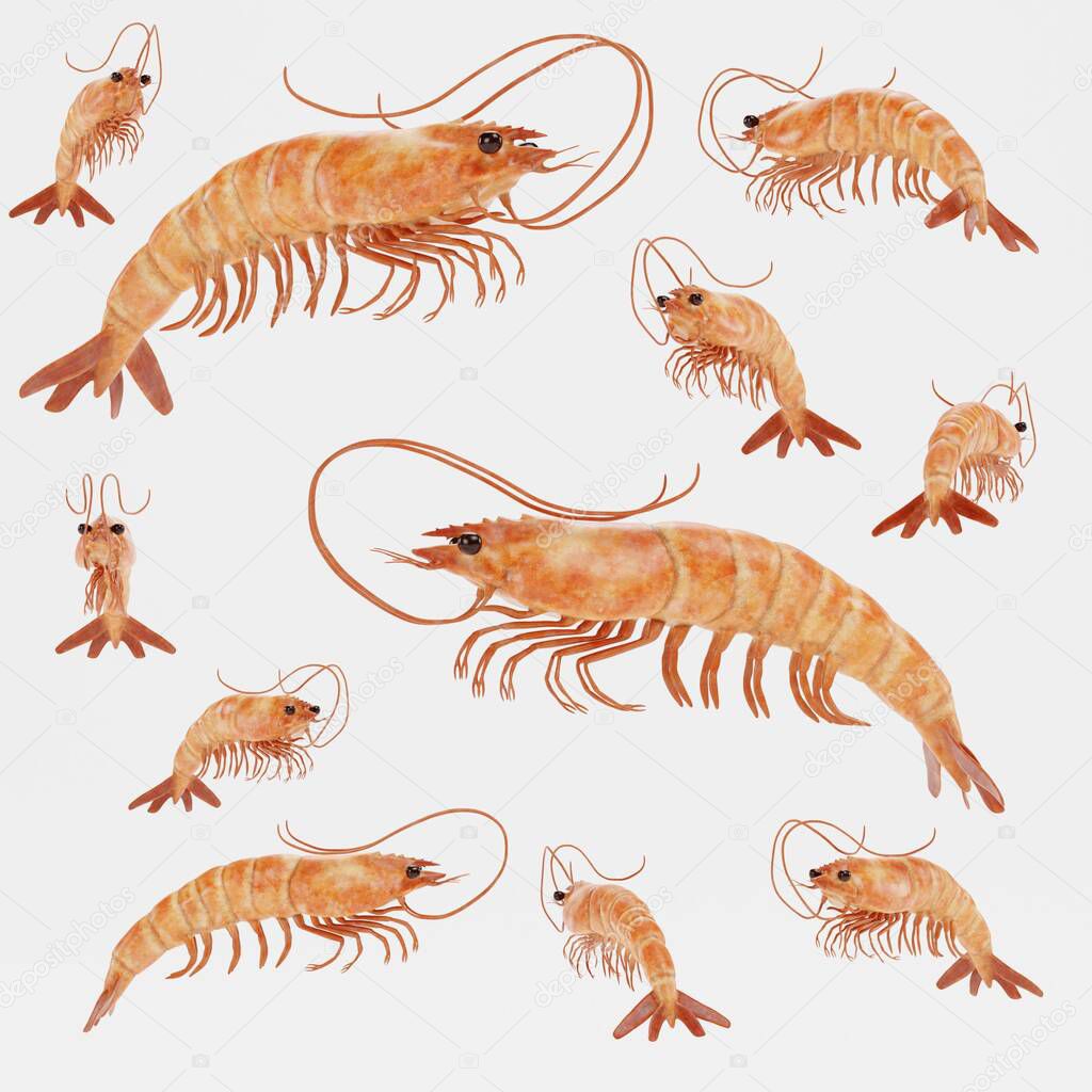Realistic 3D Render of Shrimps