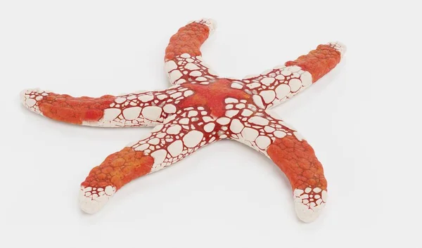 Ρεαλιστική Render Necklace Starfish — Φωτογραφία Αρχείου