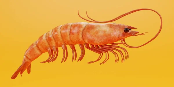 Ρεαλιστική Render Shrimp — Φωτογραφία Αρχείου