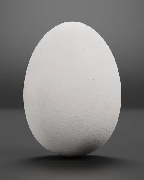 Realistic Render White Egg — Stock Photo, Image