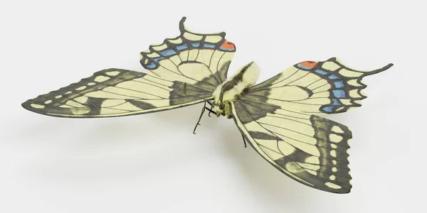 现实的旧大陆燕尾蝶3D渲染 — 图库照片