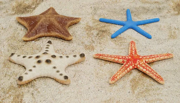 Realisztikus Render Starfish Collection — Stock Fotó