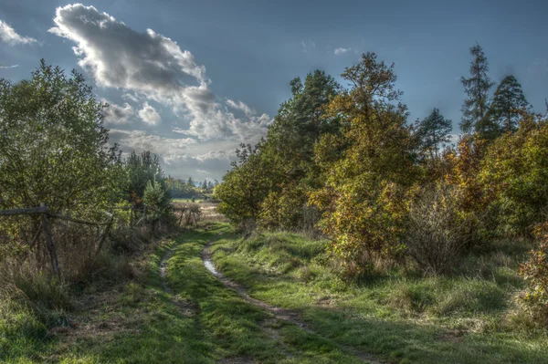 Zdjęcie z piękną jesień natura — Zdjęcie stockowe