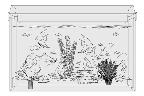 水族馆的鱼 — 图库照片