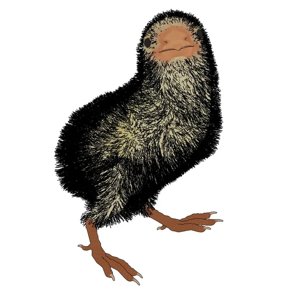 Hühnertier — Stockfoto