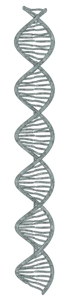 Dna-Modell — Stockfoto