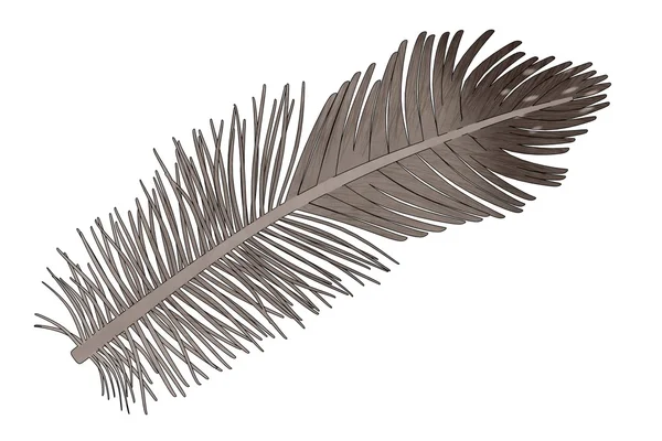 Image of bird feather — Stock Photo, Image