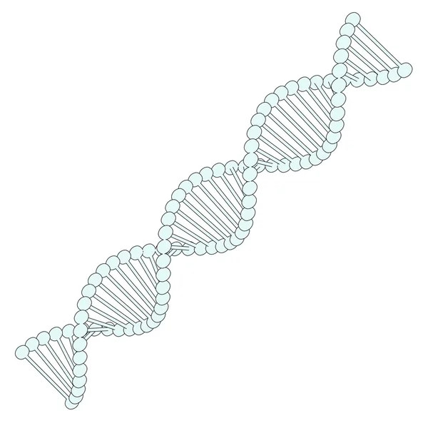 Dna-Modell — Stockfoto