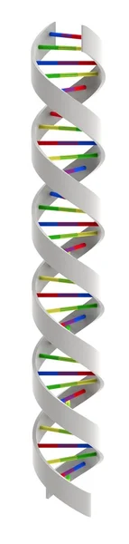 DNA-spiralen — Stockfoto
