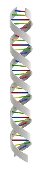 Dna Helix — Stock Photo, Image