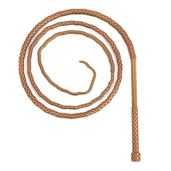 Whip (tool) — Stock Photo, Image