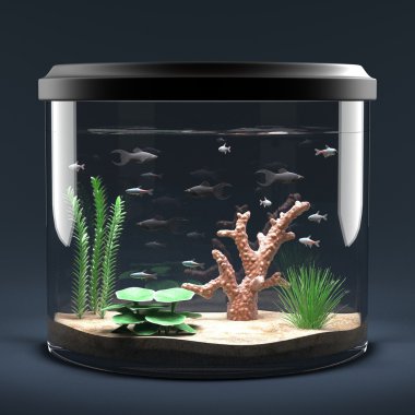 fish aquarium clipart