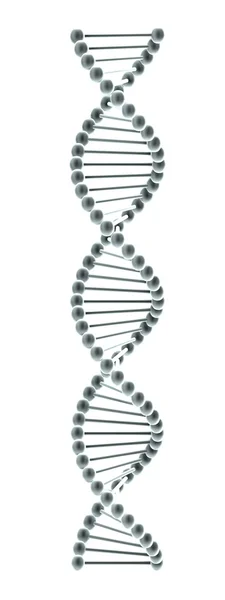 Elica del DNA — Foto Stock