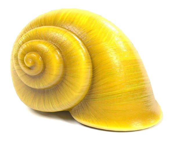 Caracol — Fotografia de Stock