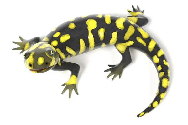 Ambystoma tygrysia — Zdjęcie stockowe