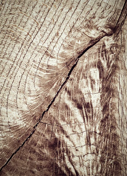 Fantasmagorique motif rétro vieux bois de chêne — Photo