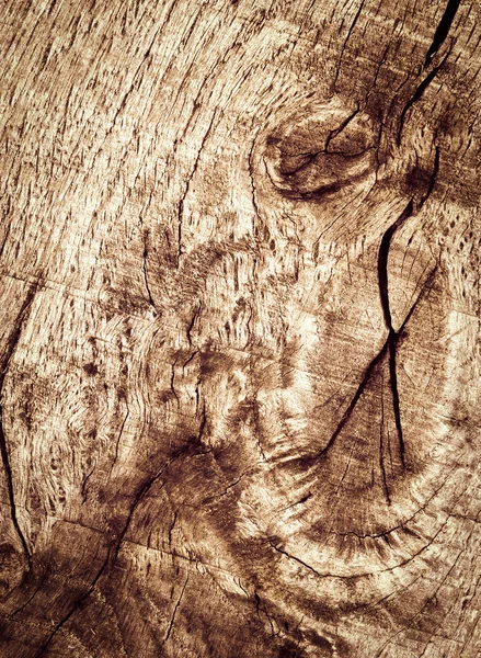 Détail abstrait chêne vieux bois — Photo