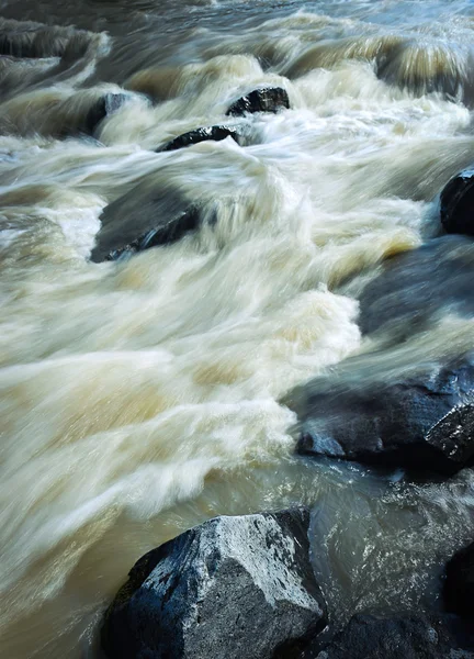 Piedra a orillas de un río salvaje —  Fotos de Stock