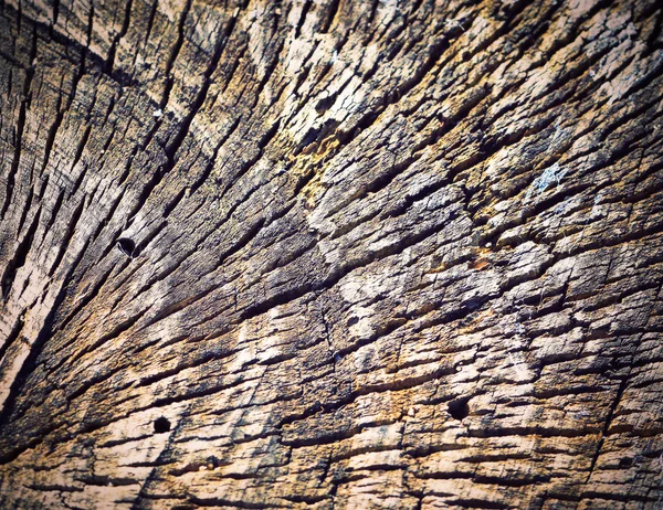 Fond rétro vieux moignon en bois — Photo