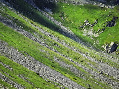 yüksek dağlarda taş biraz