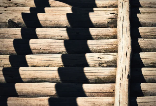 Shadow on the wall with peeled the trunks — Stock Photo, Image