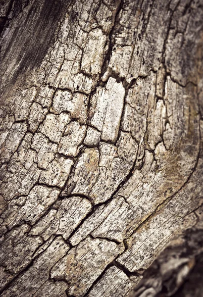Fissures revêtues de vieux bois altérés — Photo