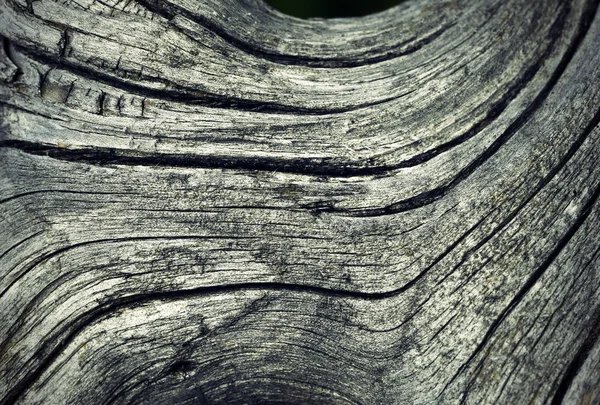 Arrière-plan beau vieux bois — Photo