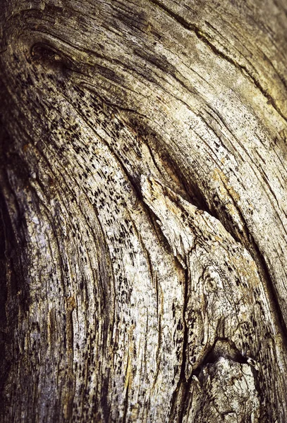 Estátua estilizada em madeira velha — Fotografia de Stock