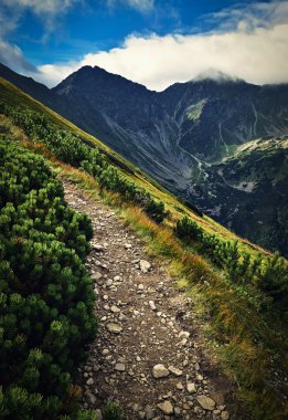Dağ taş kaldırım