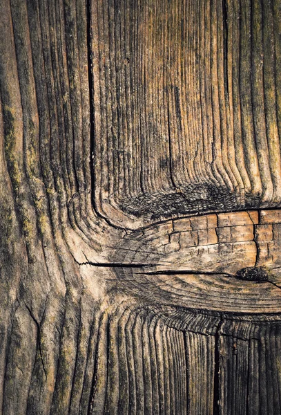 Beautiful old weathered wood — Stock Photo, Image