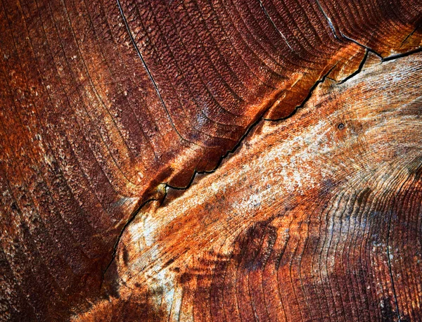 Zigzag fissure on varnished wood — Stock Photo, Image