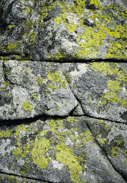 Lijn op een granieten rots met gele mos — Stockfoto