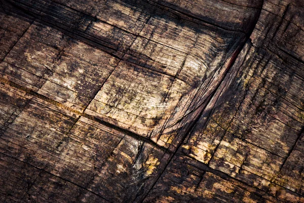 Detail: rotte oude vuren planken — Stockfoto