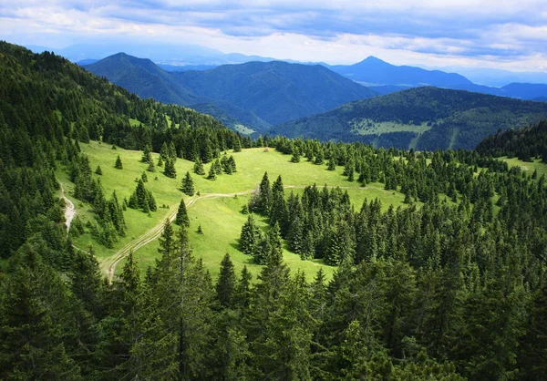 Krajina Pozadí Horní Pohled Horskou Louku — Stock fotografie