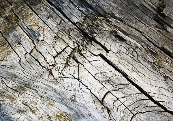 Abstrakter Hintergrund Oder Texturdetail Eines Alten Verwitterten Holzes Mit Rissen Stockfoto