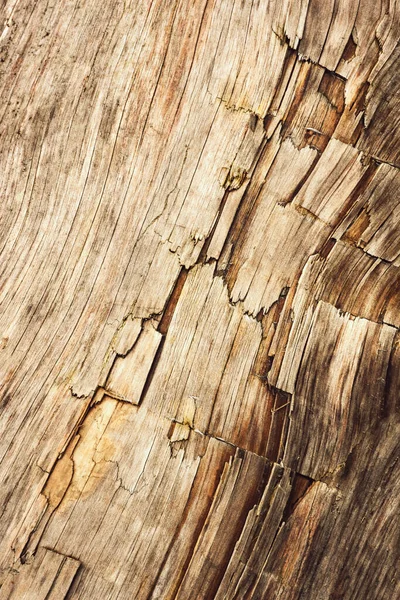 Achtergrond Textuur Detail Van Een Oude Houten Stam Met Scheuren — Stockfoto