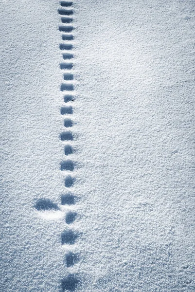 Astratto Inverno Sfondo Ruota Pista Nella Neve — Foto Stock