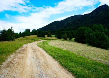 Dağlara giden mevsimsel doğa arka plan yolu