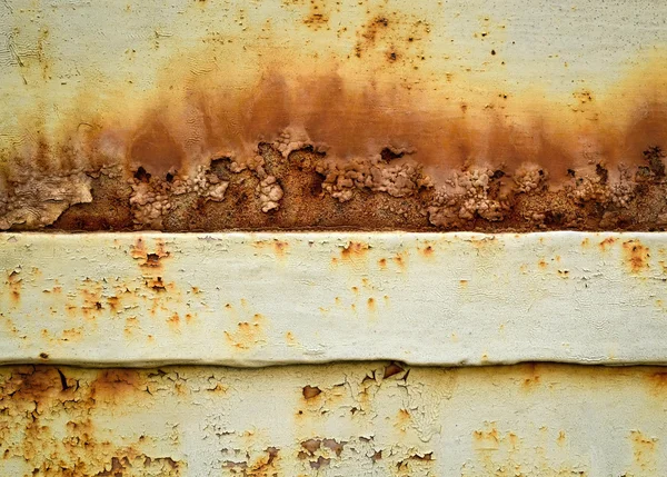 Ferrugem florescente em uma chapa de ferro — Fotografia de Stock