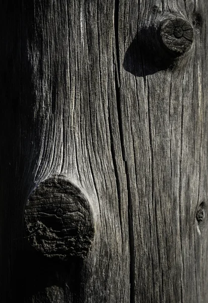 Escultura de tronco de madera abstracta — Foto de Stock